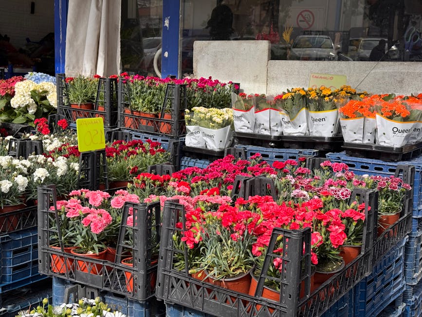 A display of various potted flowering plants arranged outdoors, featuring pink, white, red, and orange blooms, with some wrapped in white paper with a brand logo. The plants are placed on black plasti