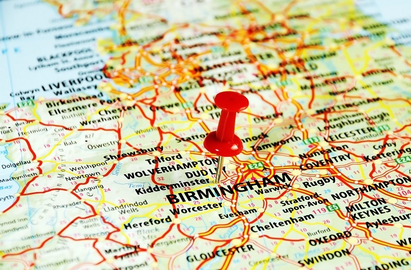 flowers / lasting flowers